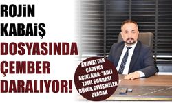 Rojin Kabaiş Dosyasında Çember Daralıyor! Avukattan Çarpıcı Açıklama