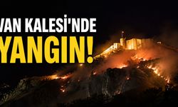 Van Kalesi çevresindeki otluk alanda yangın!