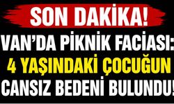 Son Dakika! Van’da piknik faciası: 4 yaşındaki çocuk boğuldu