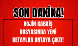 Rojin Kabaiş Soruşturmasında Yeni Detaylar Ortaya Çıktı!