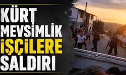 Kürt Mevsimlik İşçilere Zonguldak’ta Saldırı