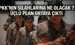 Pkk Silahları Ne Olacak? Merak Edilen 3 Formül Ortaya Çıktı!