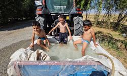 Van Gölü’ne Gidemeyince Bunu Yaptılar!