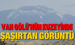 Van Gölü’nün kuzeyinde şaşırtan görüntü