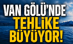 Van Gölü’nde Boğulma Tehlikesi Büyüyor! Uzmanlar Uyardı