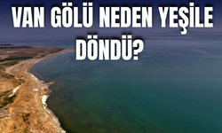Van Gölü'nün Rengi Değişti! Adilcevaz Sahili Yeşile Büründü