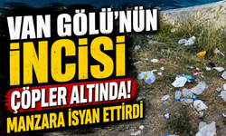 Van Gölü'nün Saklı Cenneti Çöplüğe Döndü!