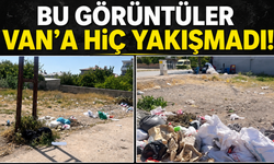 Bu Görüntüler Van'a Hiç Yakışmadı!