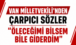 Van Milletvekili Pervin Buldan'dan Dikkat Çeken Sözler! "Öleceğimi Bilsem Bile Giderdim"
