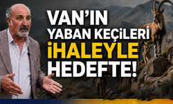 Van’ın Yaban Keçileri İhaleyle Hedefte!