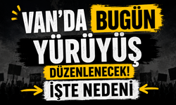 Van'da Bugün Rojin Kabaiş ve Şüpheli Kadın Ölümleri İçin Sokaklara Çıkılacak!