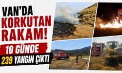 Van'da Alarm Veren Tablo! Son 10 Günde 239 Yangına Müdahale Edildi
