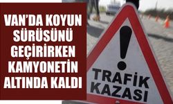 Van’da Koyun Sürüsünü Geçirirken Kamyonetin Altında Kaldı