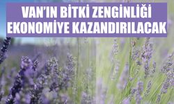 Van’ın Bitki Zenginliği Ekonomiye Kazandırılacak