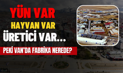 Van’ın Elindeki Değer Heba Oluyor!