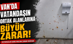 Van’da Ortak Alanlara Büyük Darbe! Parklarda Dikkat Çeken Görüntüler