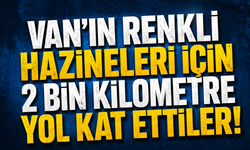 Türkiye'nin Dört Bir Yanından Van'a Geldiler! Sebebi Görenleri Şaşırttı!