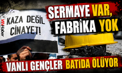 Vanlı Gençler Neden Gurbette Ölüyor? İşsizlik ve İş Cinayetlerinin Çarpıcı Tablosu