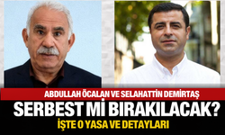 Terörsüz Türkiye Yasasında Kimler Yararlanacak? Abdullah Öcalan ve Selahattin Demirtaş Düzenleme Kapsamında mı?