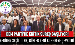 DEM Parti’de Hatimoğulları ve Bakırhan yeniden seçildi! Yeni kongre için tarih işaret edildi