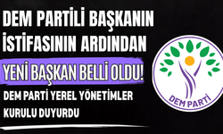 Diyarbakır Büyükşehir Belediyesi’nin Yeni Eş Başkanı Belli Oldu! İşte O İsim