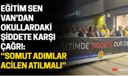 Eğitim Sen Van’dan Okullardaki Şiddete Karşı Çağrı: “Somut Adımlar Acilen Atılmalı”