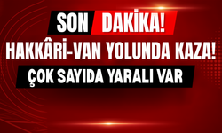 SON DAKİKA: Hakkâri-Van Yolunda Kaza! Çok Sayıda Yaralı Var