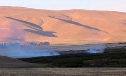 Van’da Kuşların Yaşam Alanında Yangın! Çırak Sazlığı Alevlere Teslim Oldu