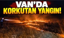 Van Tuşba’da örtü yangını!