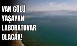 Van Gölü Yaşayan Laboratuvar Oluyor!
