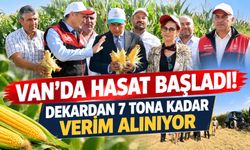 Van’da Hasat Başladı! Dekardan 7 Tona Kadar Verim Alınıyor