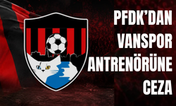Vanspor Antrenörü Eser Çalı'ya PFDK’dan Ceza!