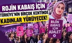 Rojin Kabaiş İçin Türkiye Genelinde Yürüyüş Düzenlenecek: Van Programı Belli Oldu