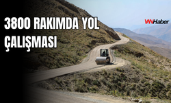 Van’da 3 Bin 800 Rakımda Zorlu Yol Çalışması