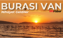 Van Erçek Gölü’nde beklenen görüntü! Allı turnalar göle renk kattı