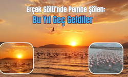 Erçek Gölü’nde Pembe Şölen: Bu Yıl Geç Geldiler