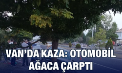 Van’da Kaza: Otomobil Ağaca Çarptı