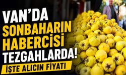 Van’da Sonbaharın Habercisi Tezgahlarda! İşte Alıcın Fiyatı