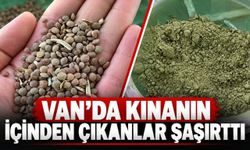 Van’da Kınanın İçinden Çıkanlar Şaşırttı!
