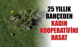 25 Yıllık Bahçeden Kadın Kooperatifine Hasat
