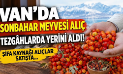 Van’da Sonbahar Meyvesi  Alıç Tezgâhlarda Yerini Aldı! Kilosu 250 TL