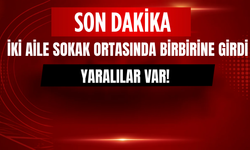 Bitlis'te İki Aile Birbirine Girdi: Sokak Ortasında Kavga!