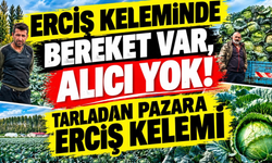 Erciş Keleminde Bereket Var, Alıcı Yok!