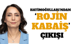 DEM Parti Eş Genel Başkanı Tülay Hatimoğulları’ndan Rojin Kabaiş çıkışı: Rojin’e ne oldu?