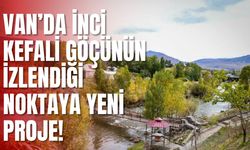 Van’ın Balık Bendi’ne bungalov ev, lokanta ve kafe yapılacak!