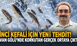 İnci kefali için yeni tehdit! Van Gölü’nde mikroplastik alarmı