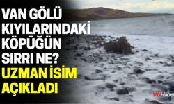 Van Gölü Kıyılarındaki Köpüğün Sırrı Ne? Uzman İsim Açıkladı