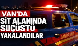 Van’da Sit Alanında Suçüstü Yakalandılar