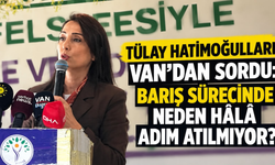 Tülay Hatimoğulları Van’da Konuştu: Barış Sürecinde “Daha Ne Bekleniyor?” Çağrısı