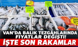 Van’da Tüketicinin Tercili İnci Kefali Oldu! Balık Tezgâhlarında Fiyatlar Değişti! İşte Son Rakamlar